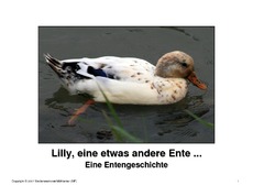 Bilderbuch-Lilly-1-18.pdf